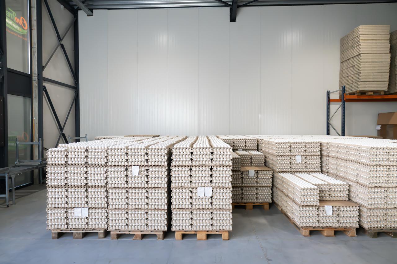 Meerdere pallets met gestapelde witte eierladen