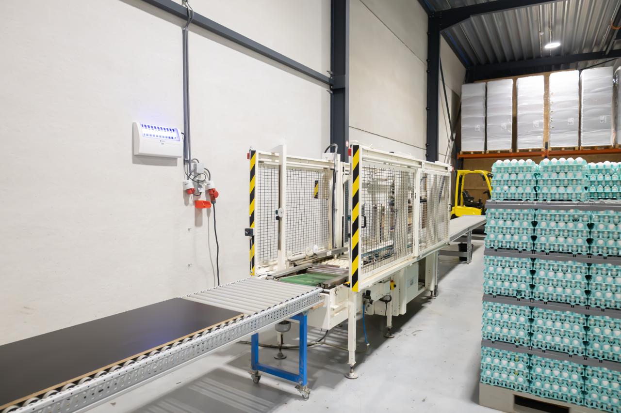 Transportband naast stapels groene eierladen in de productieruimte