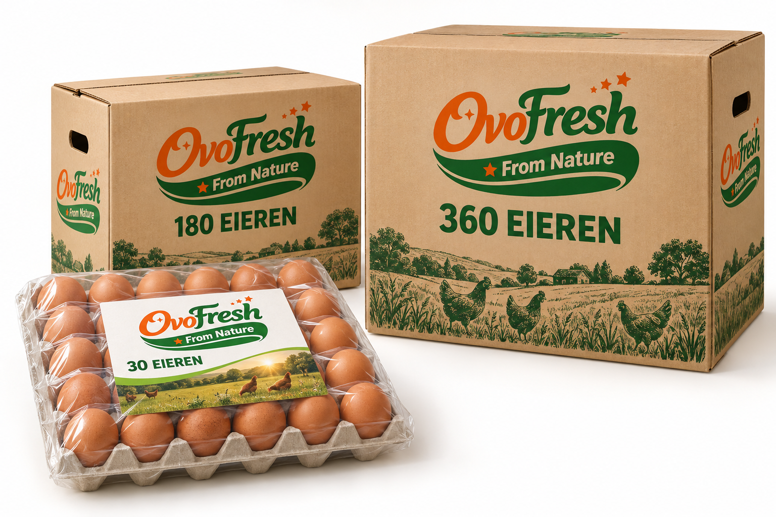 OVOFRESH productoverzicht: folieverpakte eierlade met 30 eieren, doos voor 180 eieren en doos voor 360 eieren