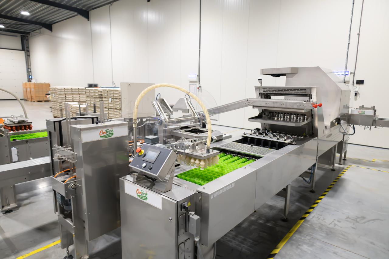 Eiersorteer- en verpakkingslijn in het pakstation van OVOFRESH